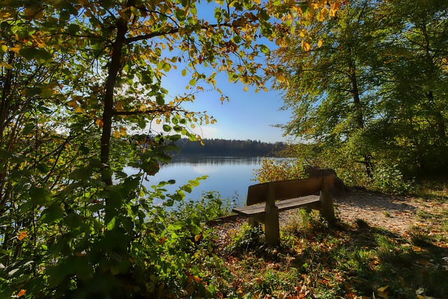 球员们继续 球员们继续