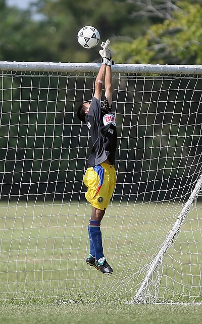 的稳固让人 的稳固让人